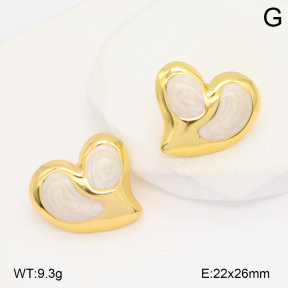 2E3003888baka-434  Stainless Steel Earrings