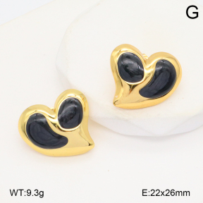 2E3003889baka-434  Stainless Steel Earrings