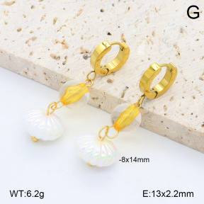 2E3003890bbml-434  Stainless Steel Earrings