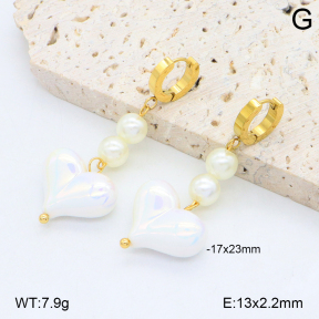 2E3003891bbml-434  Stainless Steel Earrings