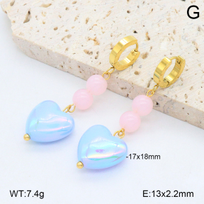 2E3003893bbml-434  Stainless Steel Earrings