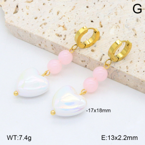 2E3003894bbml-434  Stainless Steel Earrings