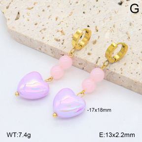 2E3003895bbml-434  Stainless Steel Earrings