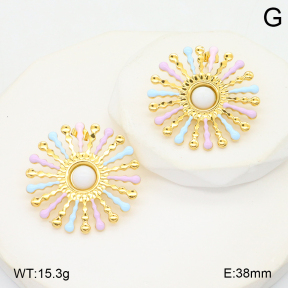 2E3003898bhva-434  Stainless Steel Earrings