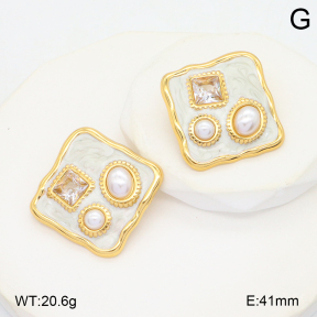 2E3003901vbmb-434  Stainless Steel Earrings