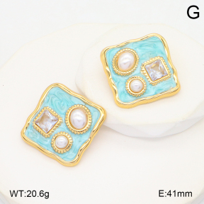 2E3003902vbmb-434  Stainless Steel Earrings