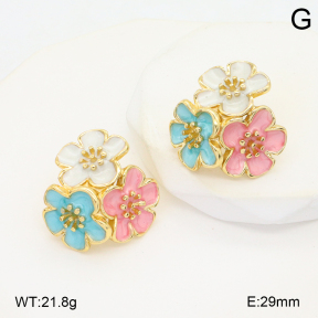 2E3003905bbov-434  Stainless Steel Earrings