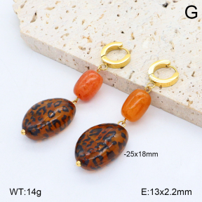 2E4004800vbnb-434  Stainless Steel Earrings