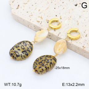 2E4004801vbnb-434  Stainless Steel Earrings