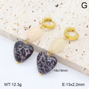 2E4004802vbnb-434  Stainless Steel Earrings