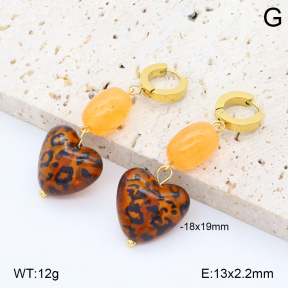 2E4004803vbnb-434  Stainless Steel Earrings