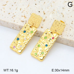 2E4004804bbml-434  Stainless Steel Earrings