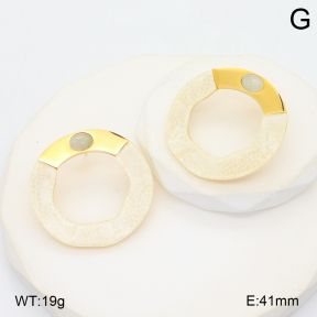 2E4004805bhbl-434  Stainless Steel Earrings