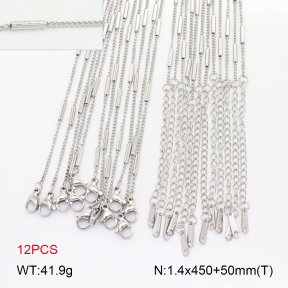 2N2007440biib-452  Stainless Steel Necklace