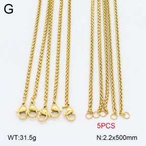 2N2007512aivb-355  Stainless Steel Necklace