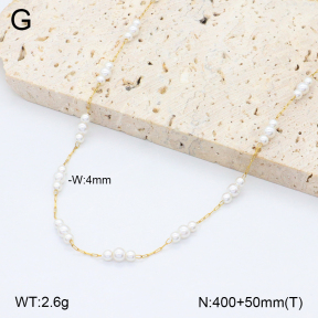 2N3003128abol-641  Stainless Steel Necklace