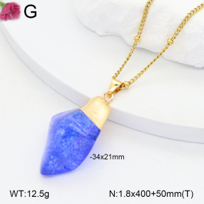 2N4005054bvpl-434  Stainless Steel Necklace