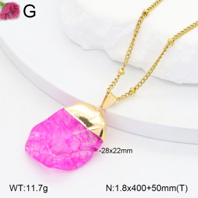 2N4005055bvpl-434  Stainless Steel Necklace