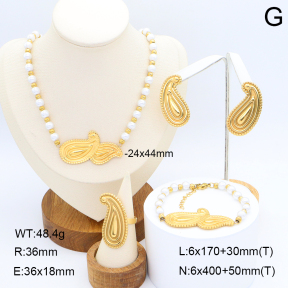 2S0012732aiov-371  Stainless Steel Set