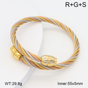 2BA202374vbpb-749  Stainless Steel Bangle