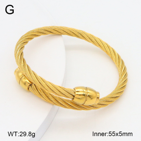 2BA202375bbov-749  Stainless Steel Bangle