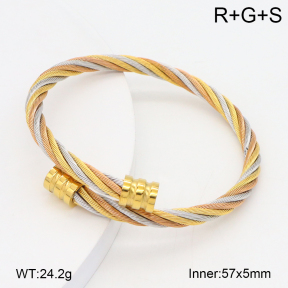 2BA202377vbpb-749  Stainless Steel Bangle