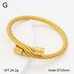 2BA202378bbov-749  Stainless Steel Bangle