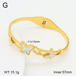 2BA300541bbov-749  Stainless Steel Bangle