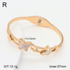 2BA300542bbov-749  Stainless Steel Bangle