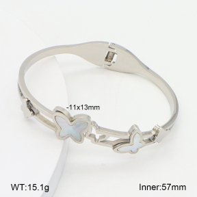 2BA300543vbnb-749  Stainless Steel Bangle