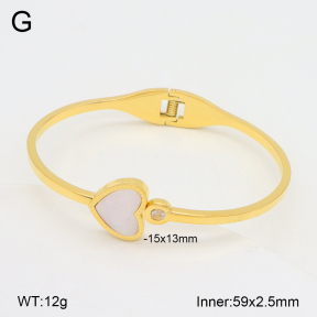 2BA300544bbov-749  Stainless Steel Bangle