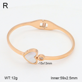 2BA300545bbov-749  Stainless Steel Bangle