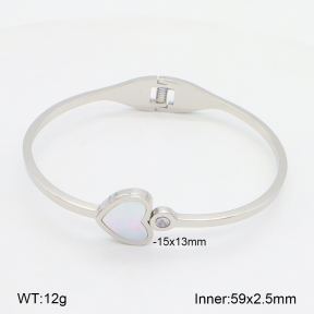 2BA300546vbnb-749  Stainless Steel Bangle
