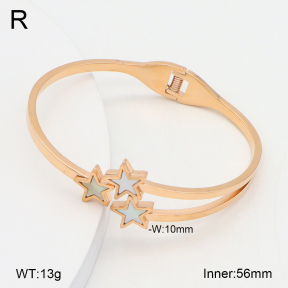 2BA300548bbov-749  Stainless Steel Bangle