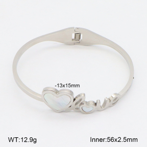 2BA300551vbnb-749  Stainless Steel Bangle
