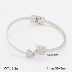 2BA300553vbnb-749  Stainless Steel Bangle