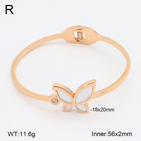 2BA300555bbov-749  Stainless Steel Bangle