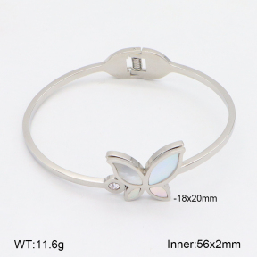 2BA300556vbnb-749  Stainless Steel Bangle