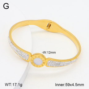 2BA402564bbov-749  Stainless Steel Bangle