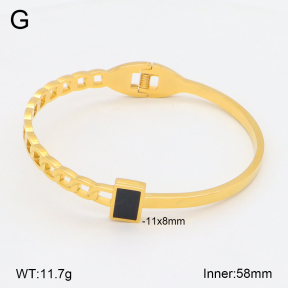 2BA402571bbov-749  Stainless Steel Bangle