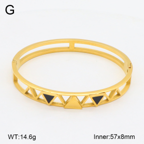 2BA402572bbov-749  Stainless Steel Bangle