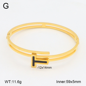 2BA402575bbov-749  Stainless Steel Bangle
