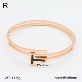 2BA402576bbov-749  Stainless Steel Bangle