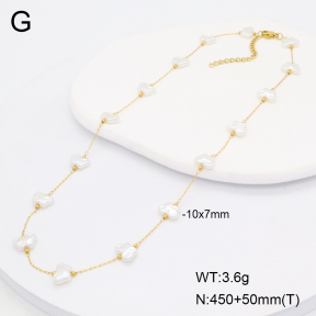 2N3003148vbnl-368  Stainless Steel Necklace