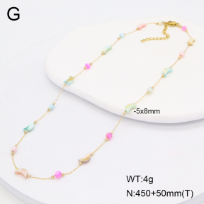2N4005098abol-368  Stainless Steel Necklace