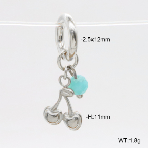 6BC000044vhha-908  Amazonite  Stainless Steel Bikini Charms