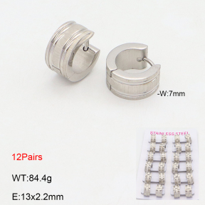 2E2006578akoa-387  Stainless Steel Earrings