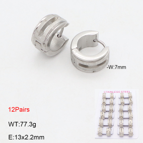 2E2006581akoa-387  Stainless Steel Earrings