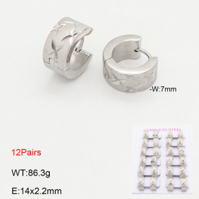 2E2006583akoa-387  Stainless Steel Earrings