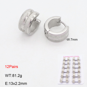 2E2006584akoa-387  Stainless Steel Earrings